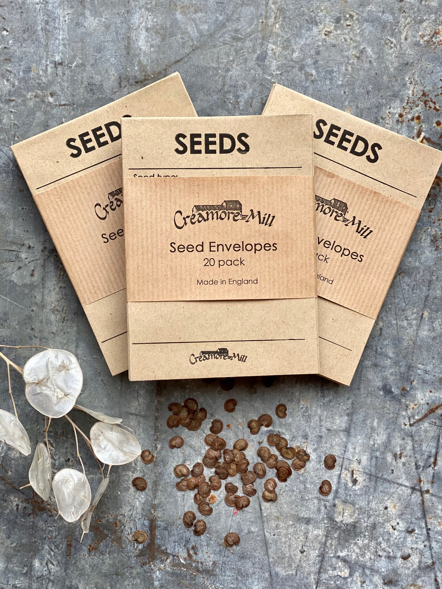Seed Envelopes