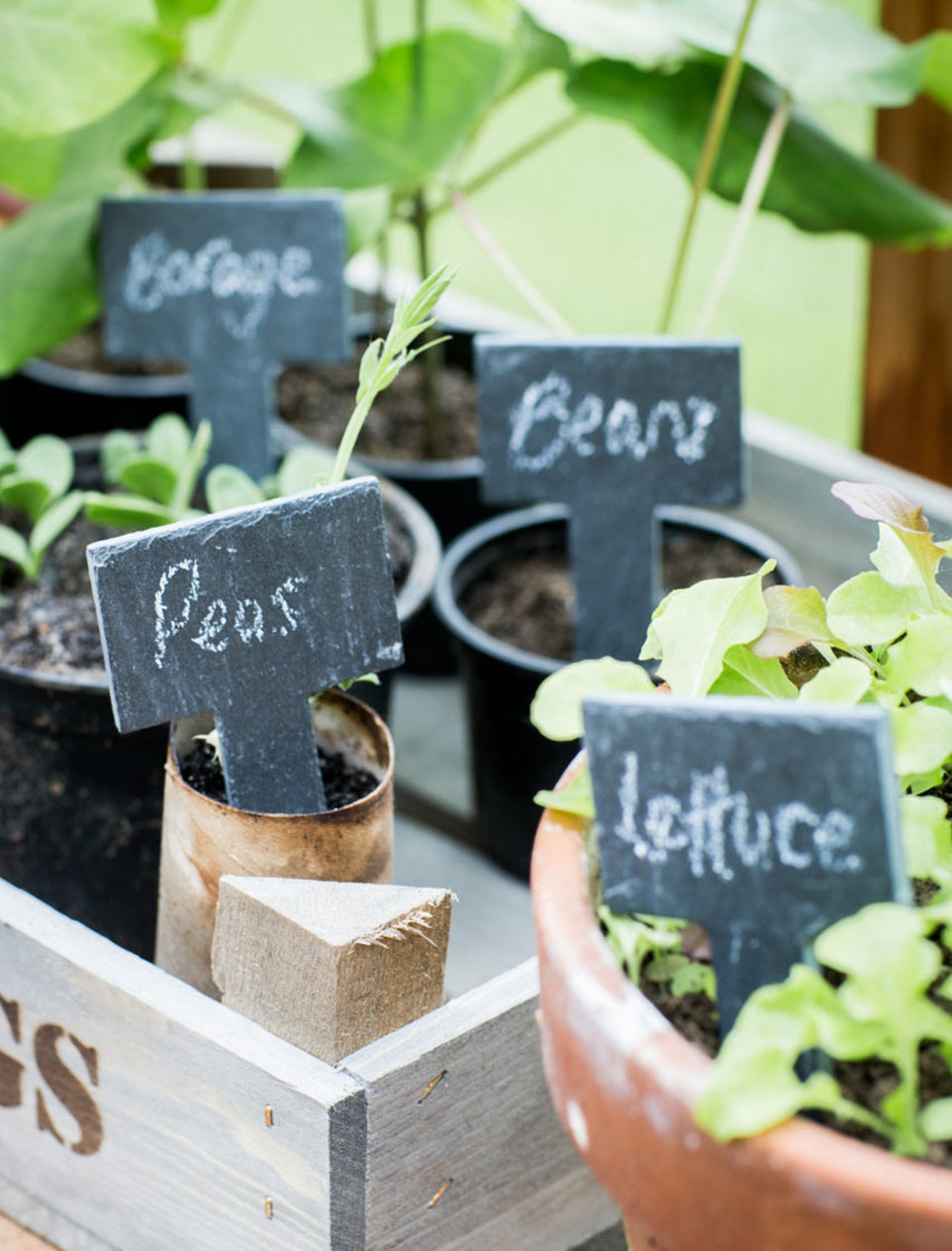 SET OF 6 SLATE GREENHOUSE TAGS
